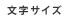 文字サイズ