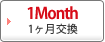 1Month 交換コンタクトレンズ