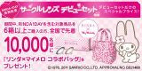 サークルレンズデビューセット