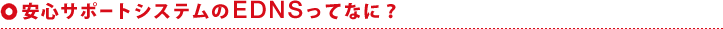 安心サポートシステムのEDNSってなに？