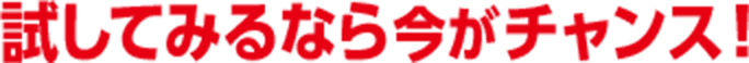 試してみるなら今がチャンス