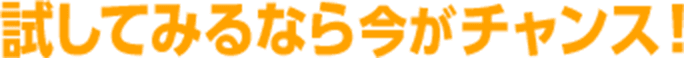 試してみるなら今がチャンス