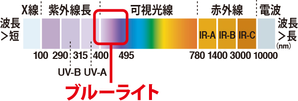 メイン画像3