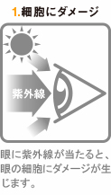 メイン画像3
