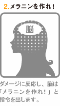 メイン画像3