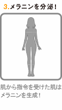メイン画像3