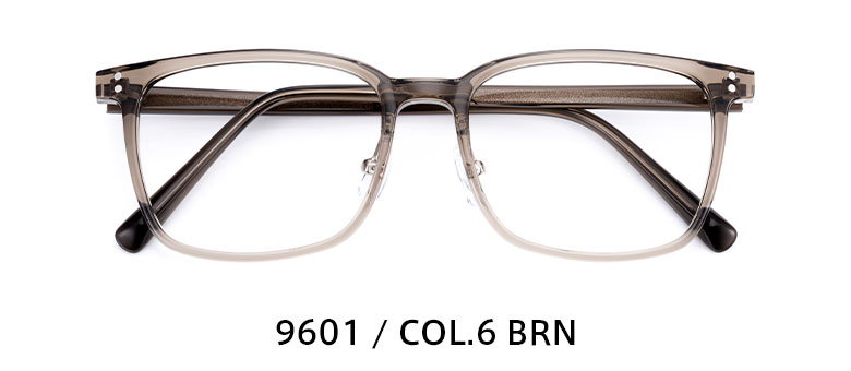 9601 / COL.6 BRN